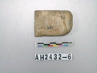 藏品(中型磨製石錛)的圖片